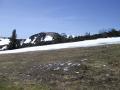 components/com_mambospgm/spgm/gal/1.Laeufe/Training Feuerkogl/_thb_Pict0012.JPG
